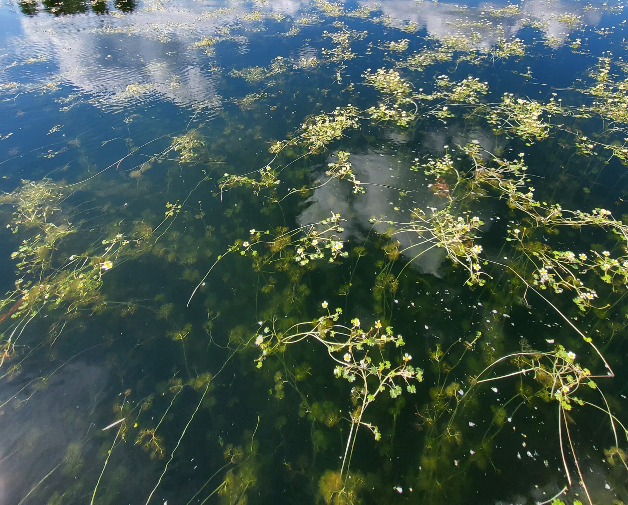Read more about the article Järvisätkin Hormajärvellä