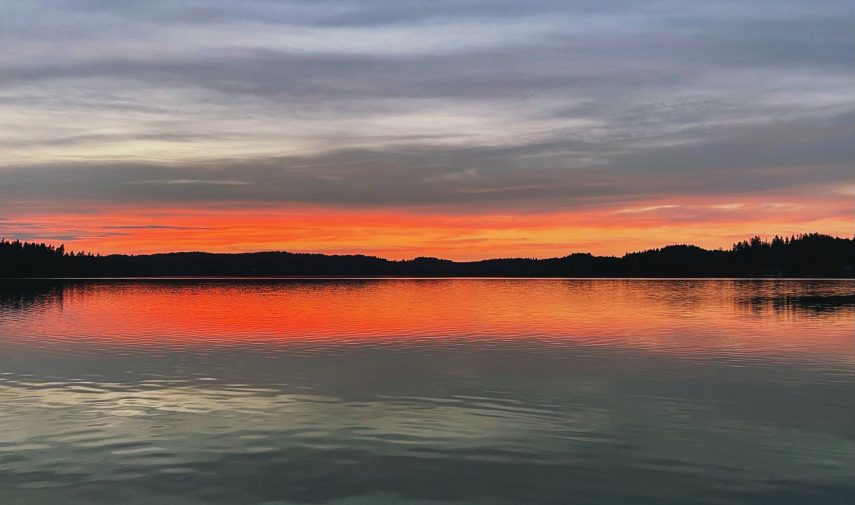 Tue järven hoitoa